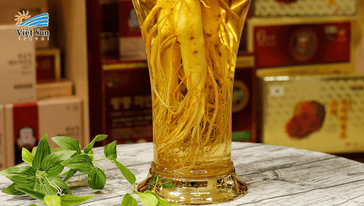 Cửa hàng sâm Hàn Quốc