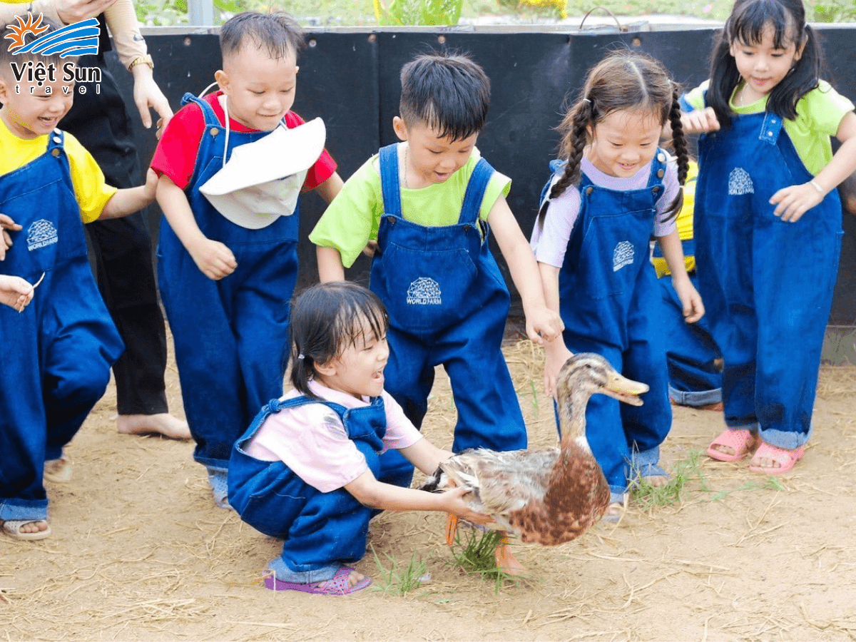 Tour nông trại bổ ích cho các bé